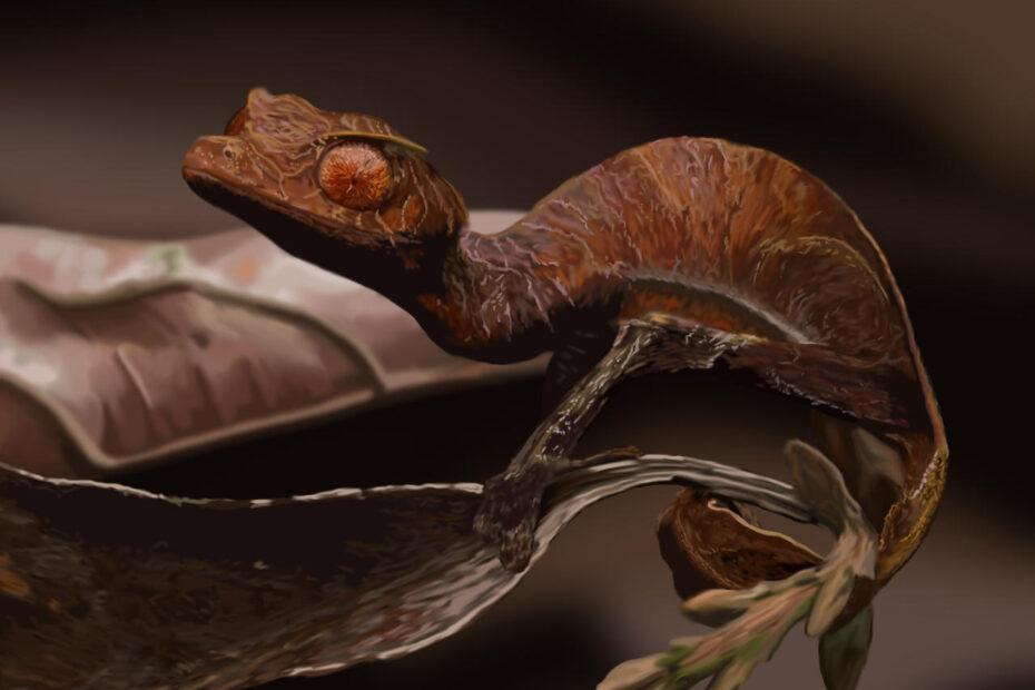 satanic leaf-tailed gecko adaptations
