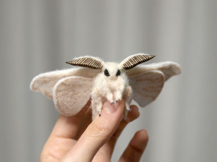 poodle moth